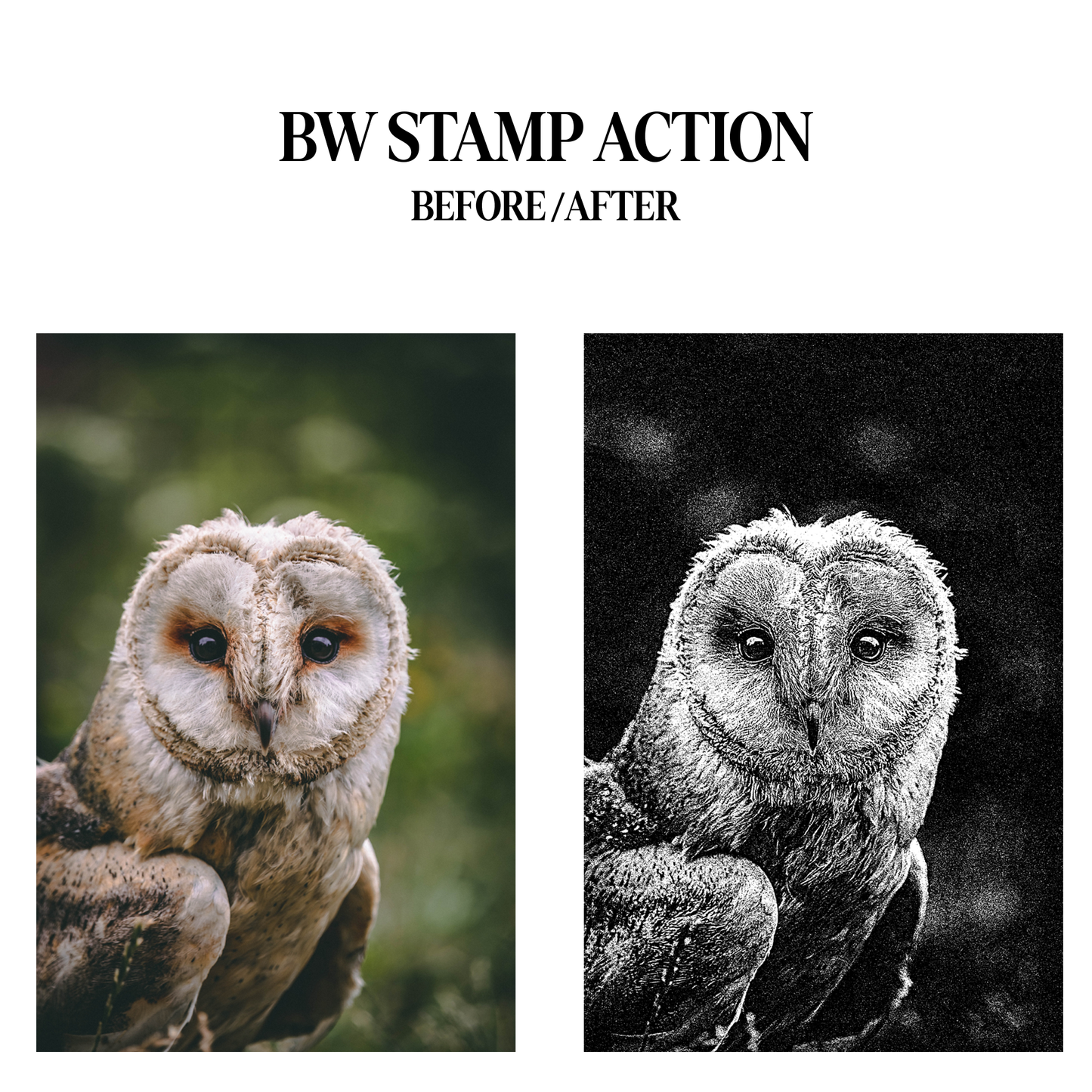 PHOTO STAMPER ACTIONS V.1